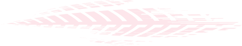 RapidFix